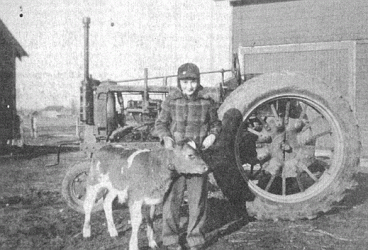 Erwin Knope, age 12, pets a calf at the farm circa 1942. He died in the Korean War, and his funeral 